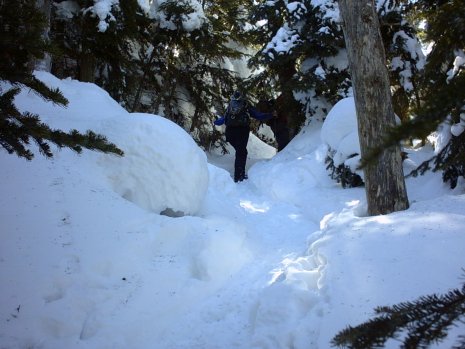 On the Kinsman Ridge Trail